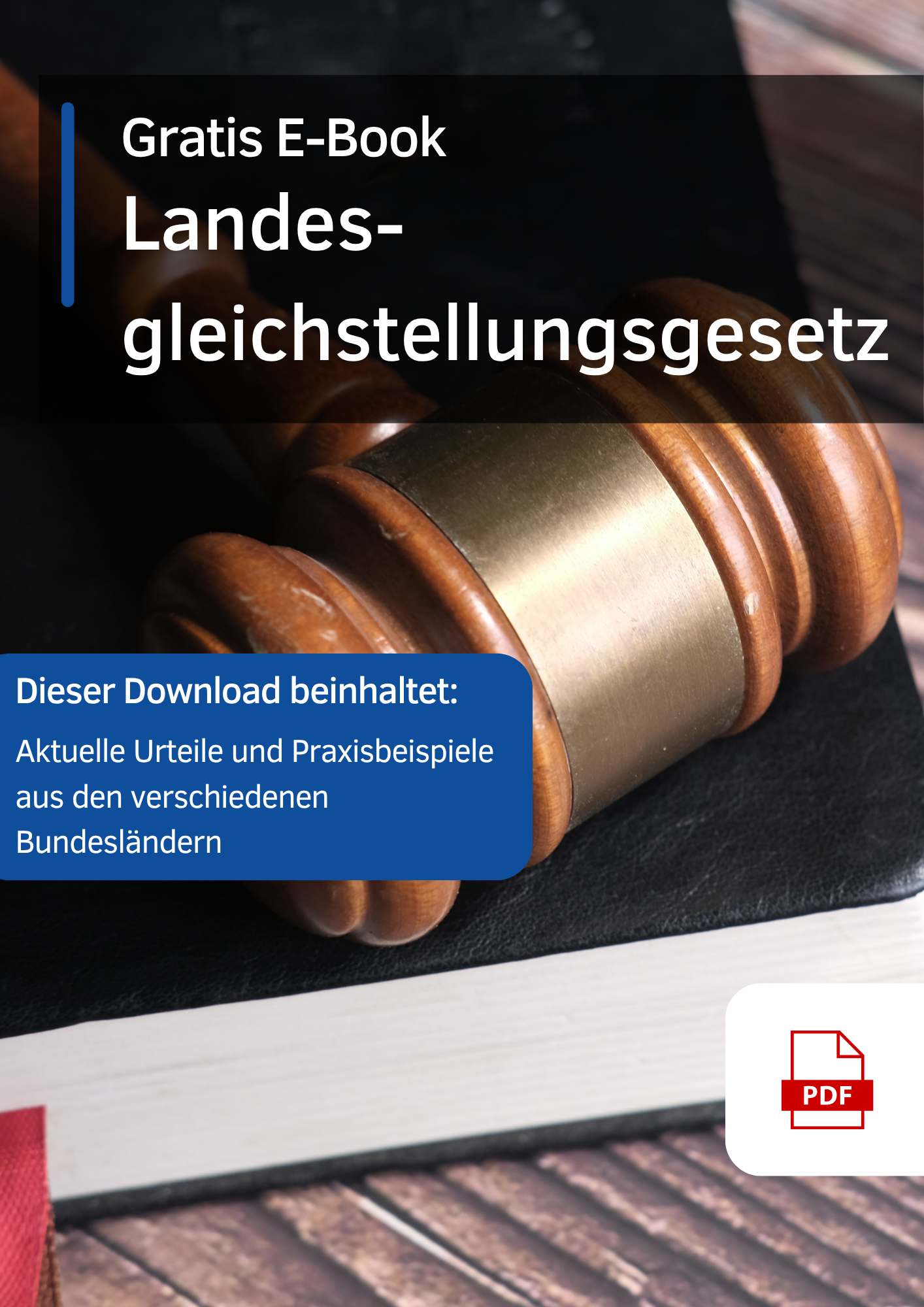 Landesgleichstellungsgesetz.png